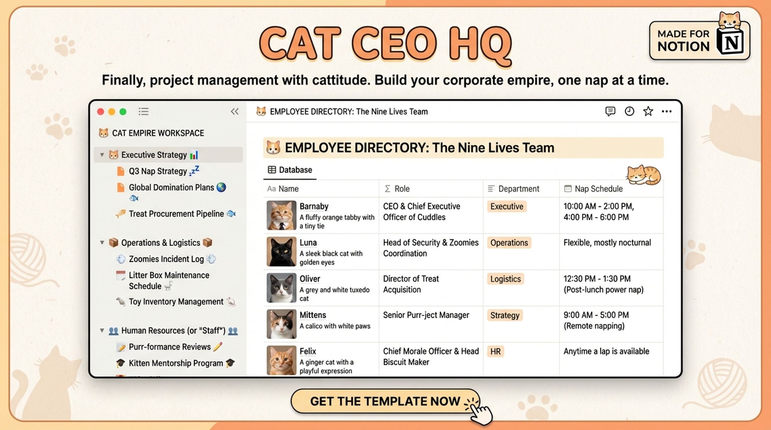 Educational Content Toolkit